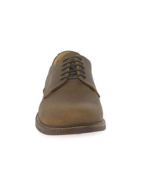 Loake Brown Franklin Shoes for men