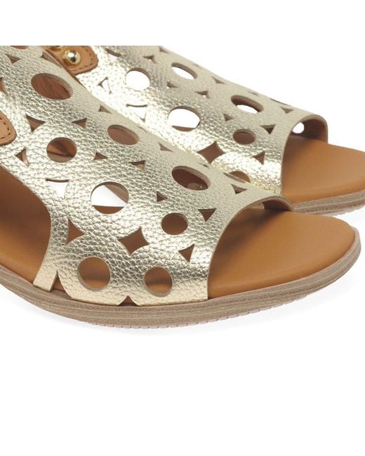 Paula Urban Brown Resort Sandals