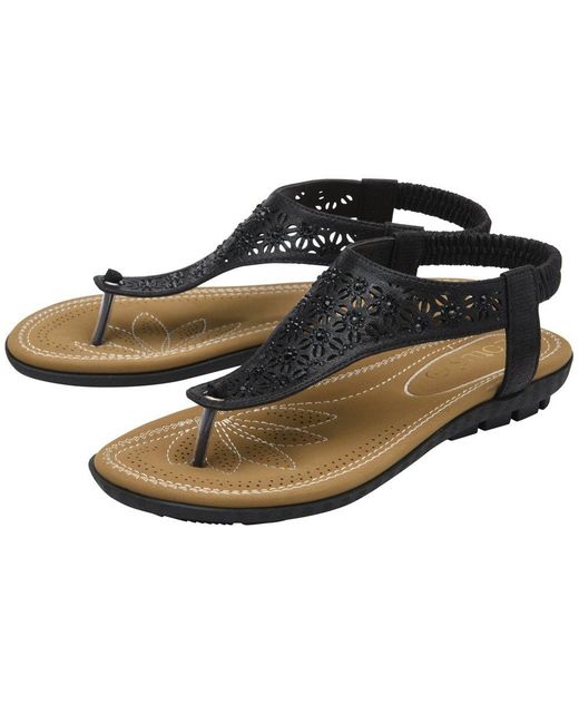 Lotus Black Vena Sandals