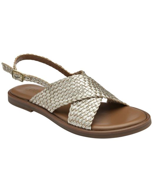 Lotus Brown Beatriz Sandals