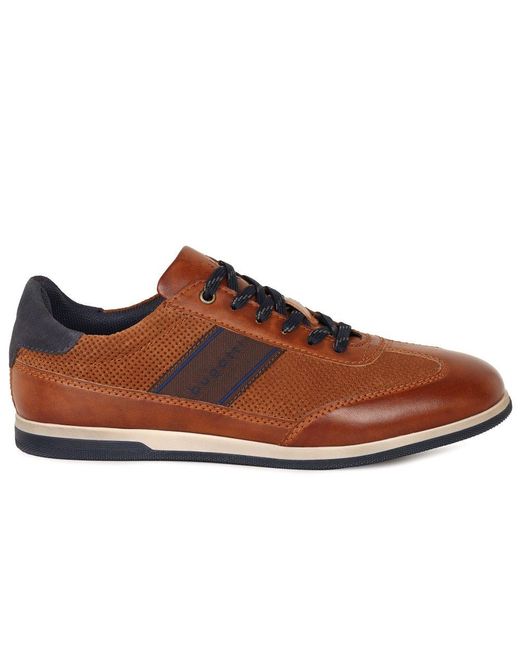 Bugatti Brown Titon Shoes for men