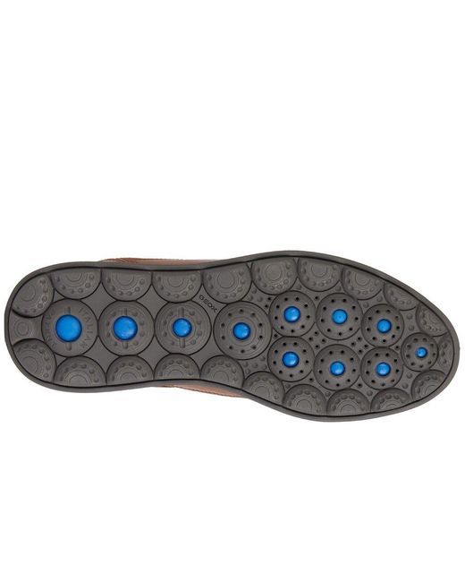 Geox Brown U Spherica Ec12 Shoes for men