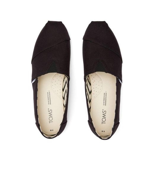 Men's toms size 7 shop