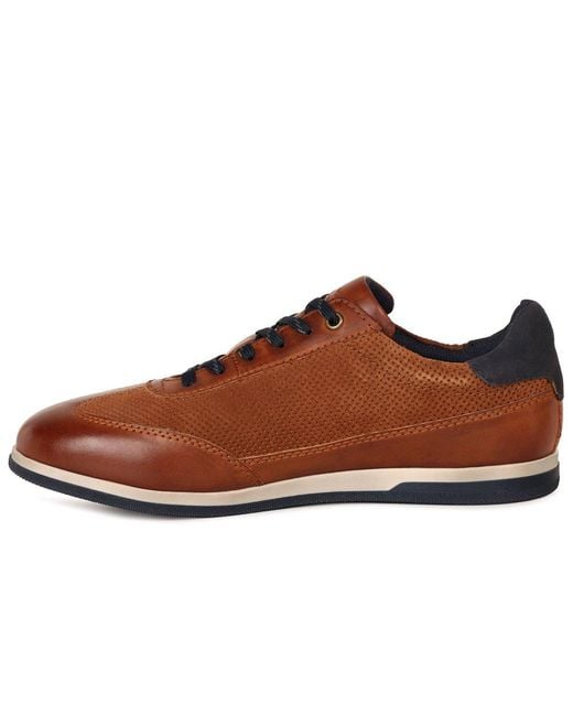 Bugatti Brown Titon Shoes for men