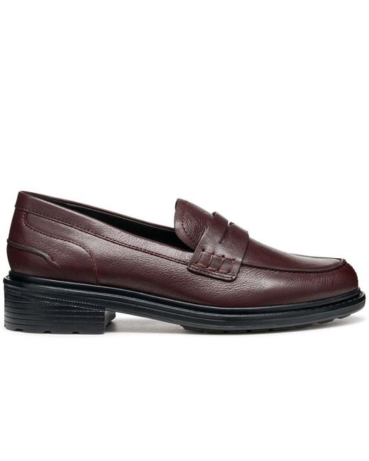 Geox Brown D Walk Pleasure F Moccasins