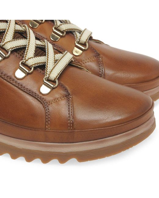 Pikolinos Brown Vigo Ankle Boots