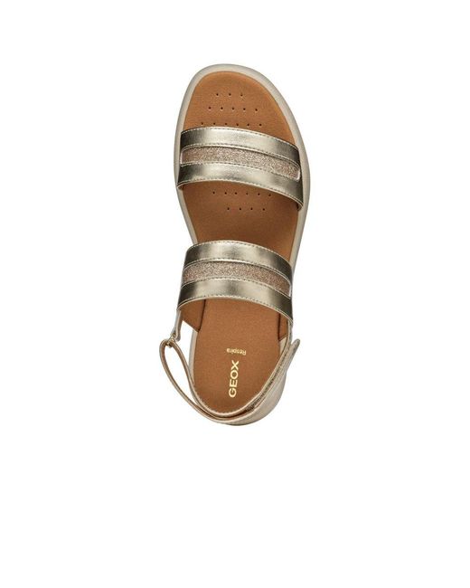 Geox Brown D Camalei Sandals