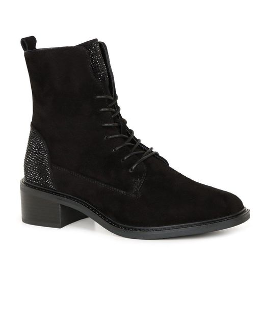 Regarde Le Ciel Black Moira 06 Ankle Boots