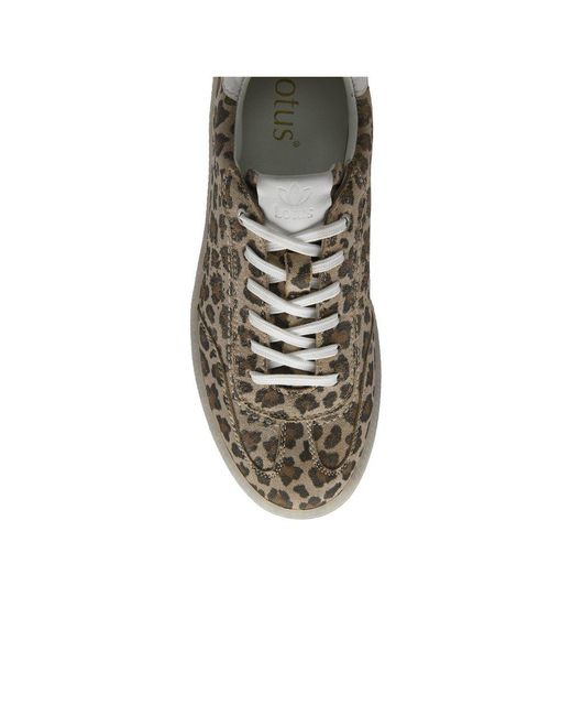 Lotus Multicolor Frapporta Trainers