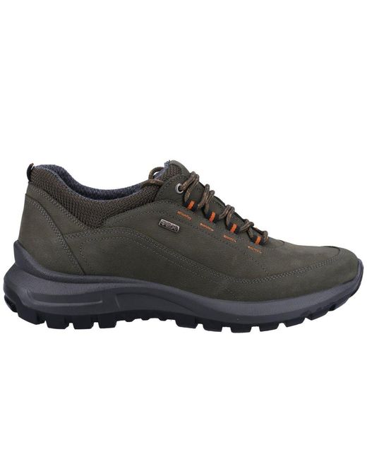 Cotswold Black Dumbleton Walking Shoes for men