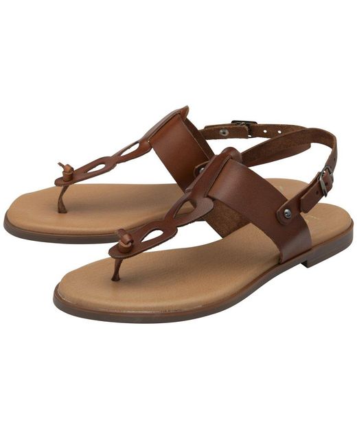 Lotus Brown Bibiana Sandals