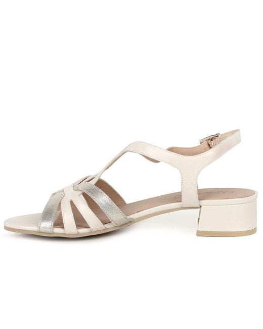 Caprice Metallic Compass Sandals
