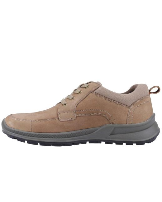 Hush Puppies Brown Adam Lace Up Shoes for men