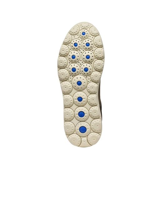 Geox Brown U Spherica Plus Trainers for men
