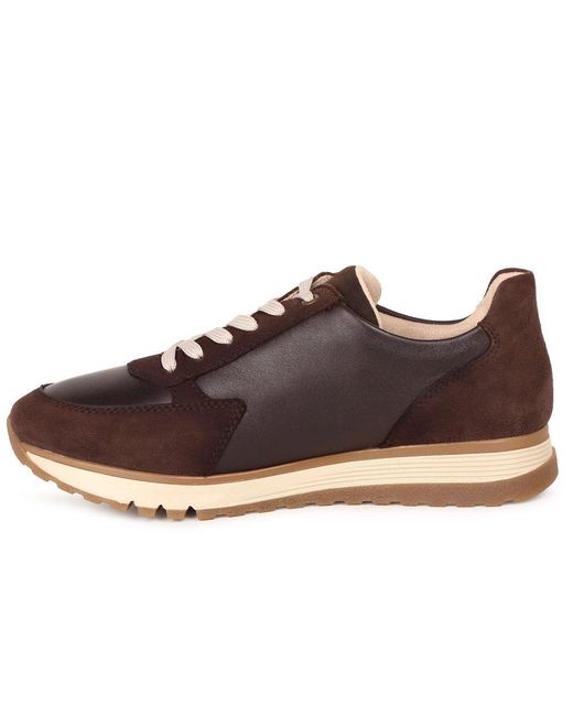 Rieker Brown Bliss Trainers