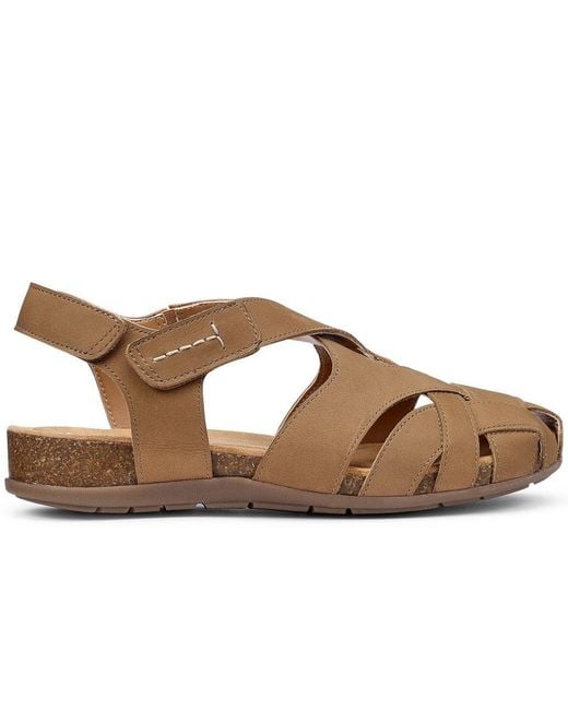 Hotter Brown Carpa Wide Fit Sandals