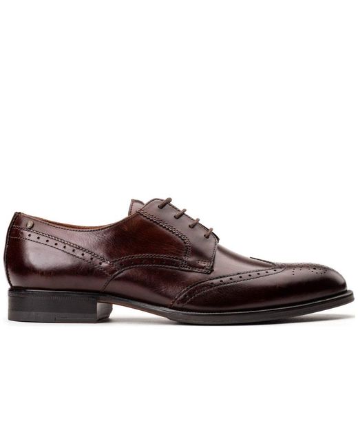 Base London Brown Bell Brogue Shoes for men