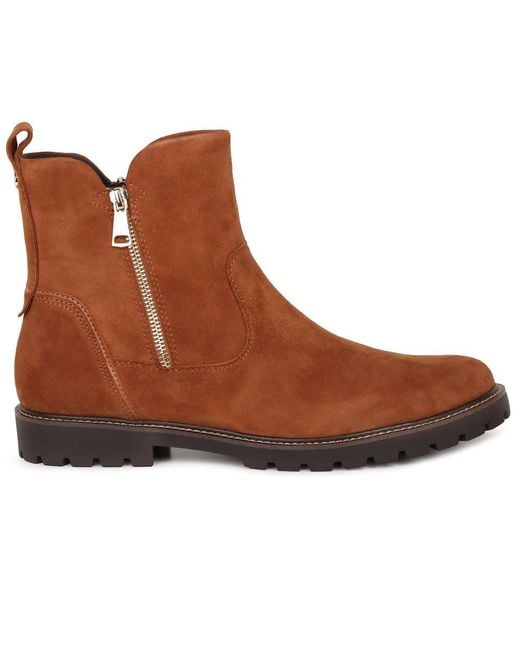 Caprice Brown Darcy Ankle Boots