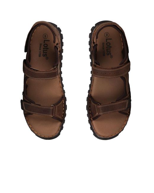 Lotus Brown Noah Sandals for men