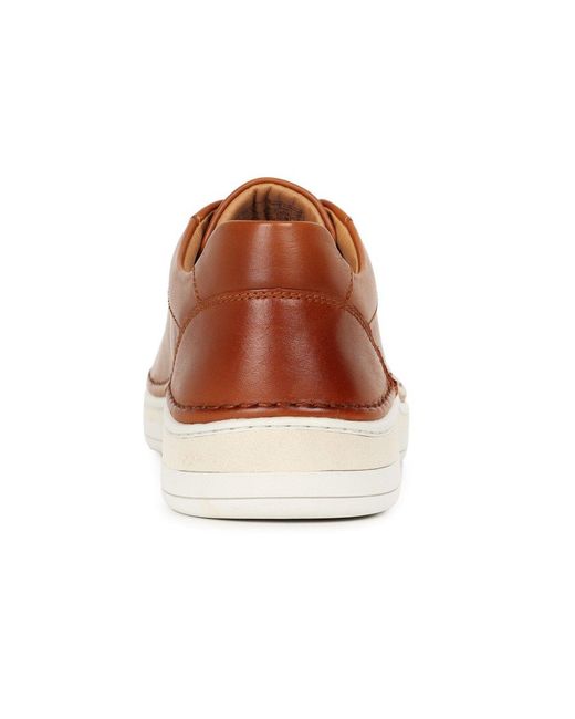 Josef Seibel Brown Cleve 02 Trainers for men