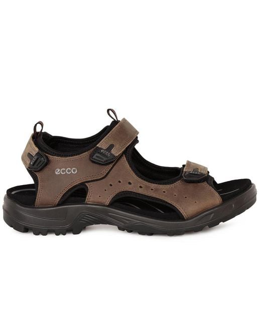 Ecco Brown Trail Casual Sandals for men