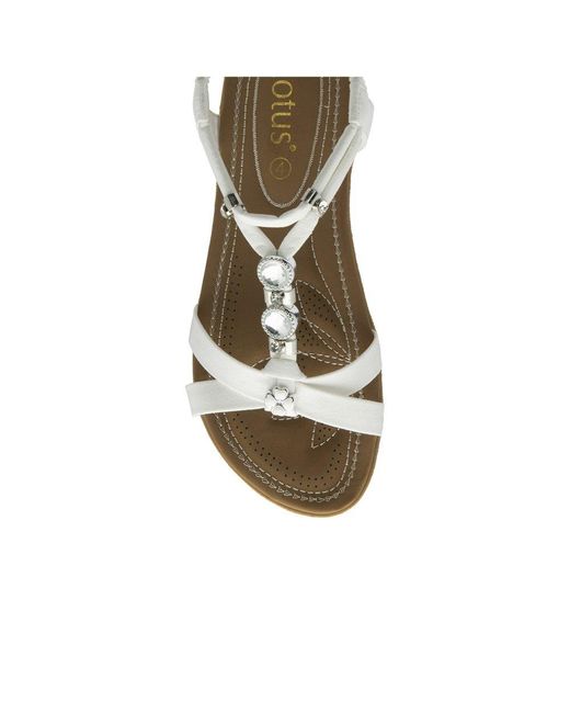 Lotus Metallic Bettina Sandals
