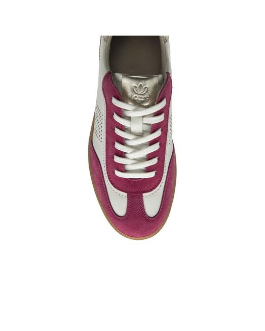 Lotus Purple Frapporta Trainers