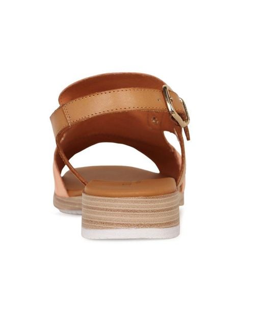 Paula Urban Brown Coastal Buckle Fastening Sandals