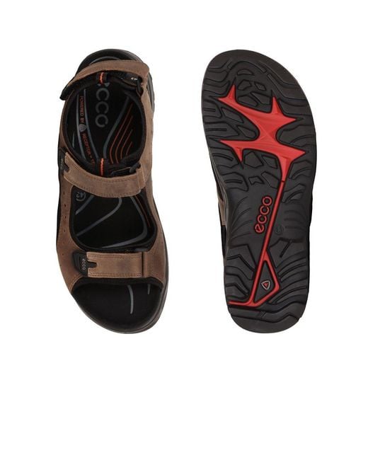 Ecco Brown Trail Casual Sandals for men