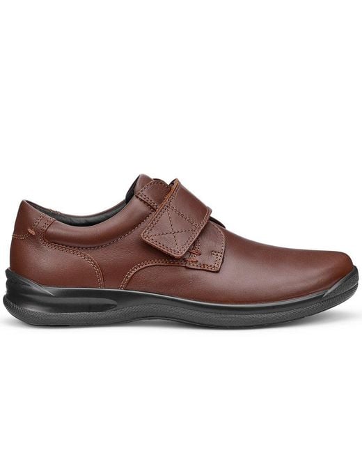 Hotter Brown Sedgwick Ii Casual Shoes for men