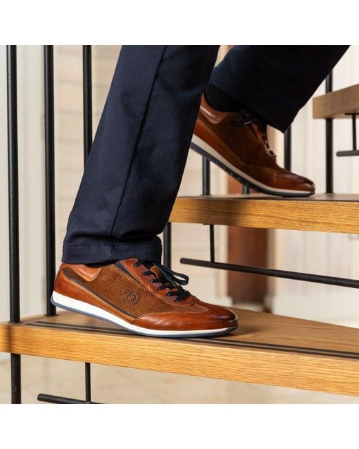 Bugatti Brown Torre Trainers for men