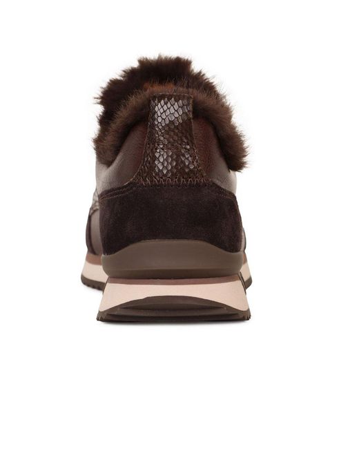 Gabor Brown Tavern Trainers
