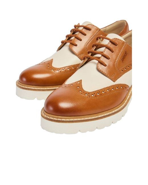 Pod Brown Kortney Lace Up Brogues