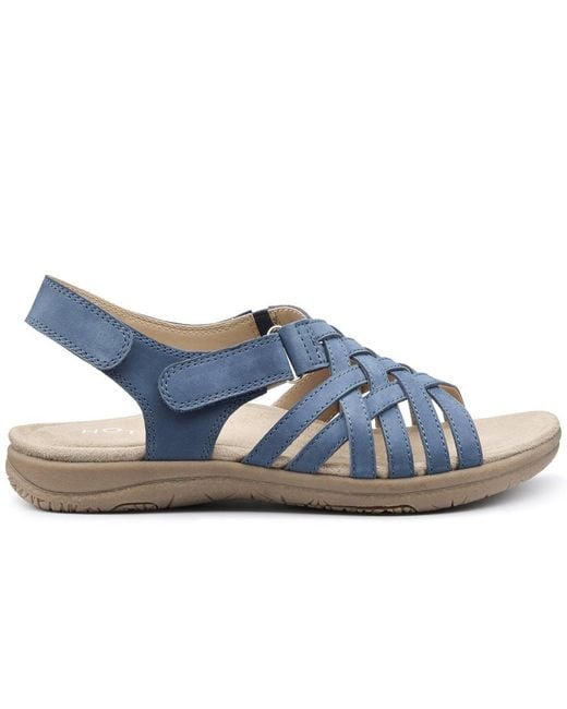 Hotter Blue Maple Sandals