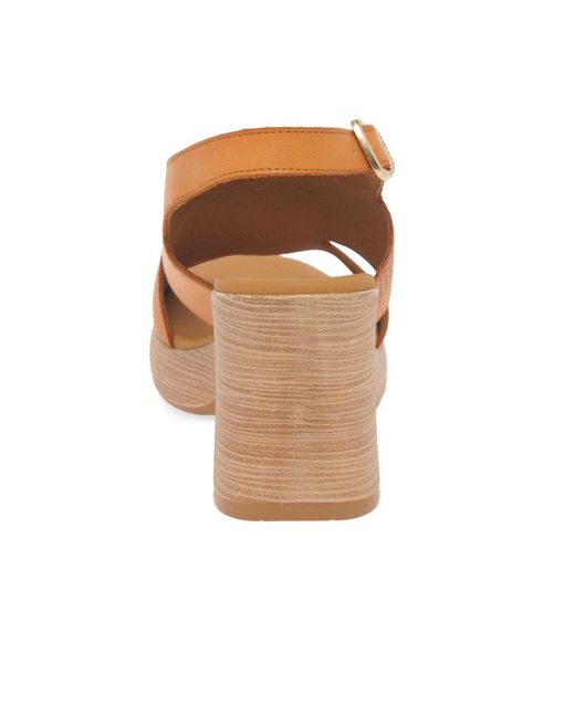 Paula Urban Brown Hideaway Sandals
