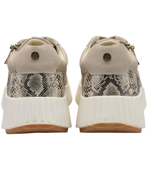 Lotus Gray Paige Trainers