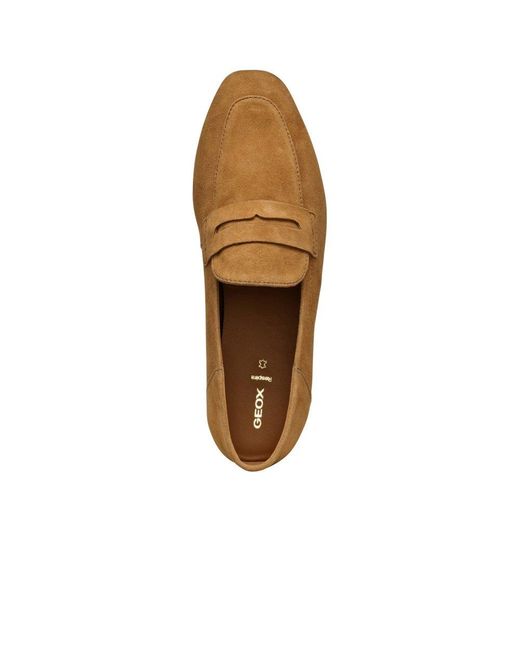 Geox Brown Mantinea Moccasins