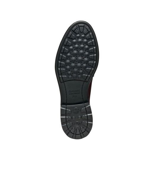 Geox Brown D Walk Pleasure F Moccasins