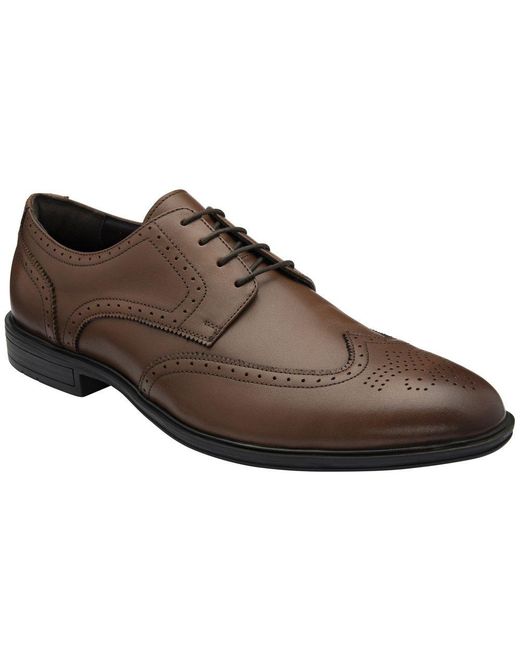 Lotus Brown Skipton Brogues for men