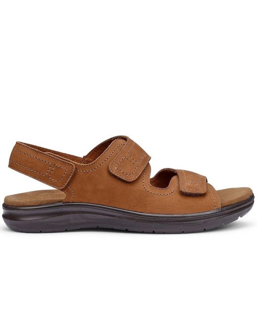 Hotter Brown Causeway Sandals for men