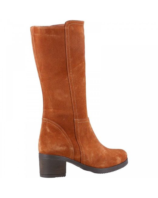 Riva Brown Lucy Knee High Boots
