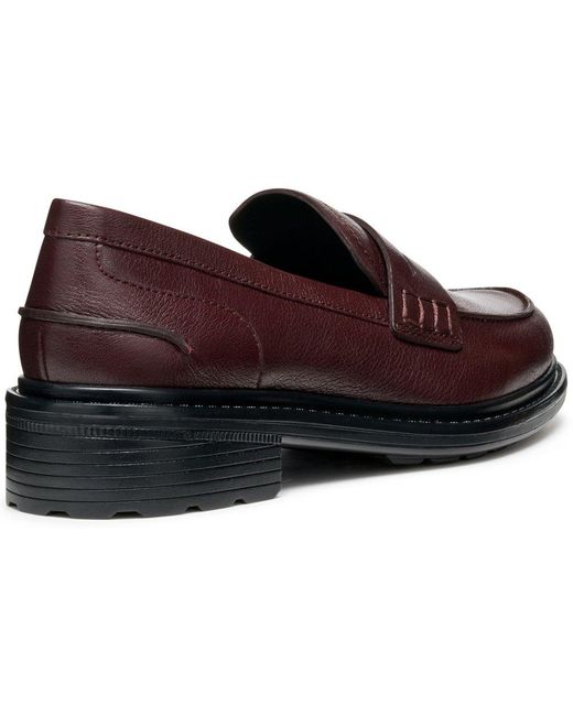 Geox Brown D Walk Pleasure F Moccasins