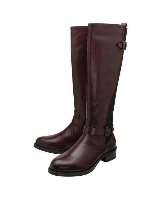 Ravel Brown Eildon Knee High Boots