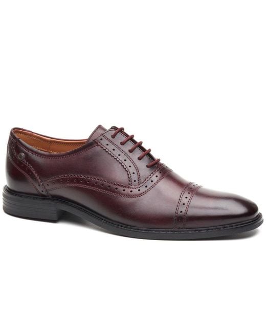 Base London Brown Ascot Toe Cap Oxford Shoes for men