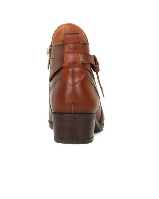 Pikolinos Brown Dixie Ankle Boots