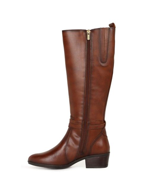 Pikolinos Brown Dando Knee High Boots