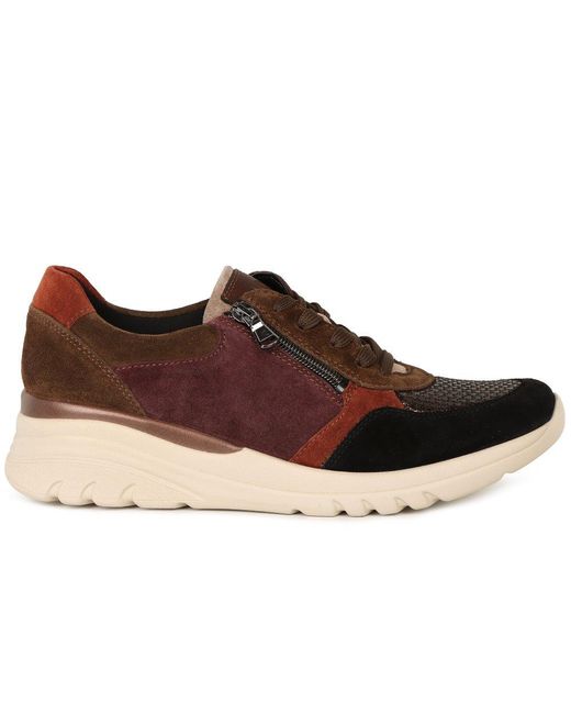 Waldläufer Brown Carla Trainers
