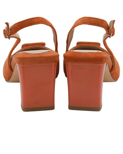 Lotus Brown Rochelle Court Shoes