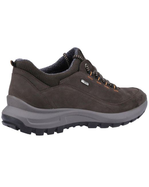 Cotswold Brown Dumbleton Walking Shoes for men