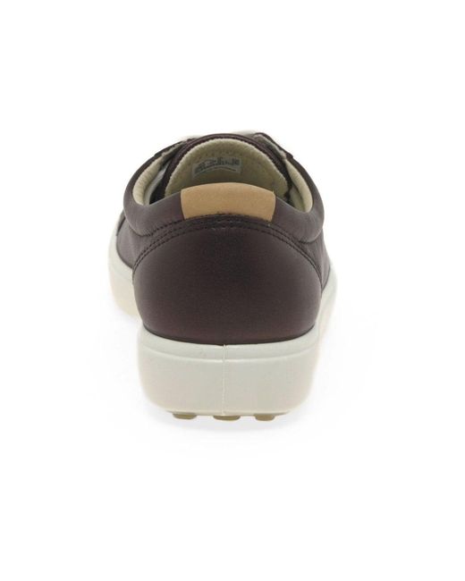 ecco soft 7 laces